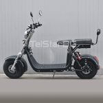 TELSTAR CITY HARLEY TS-600 e-SCOOTER